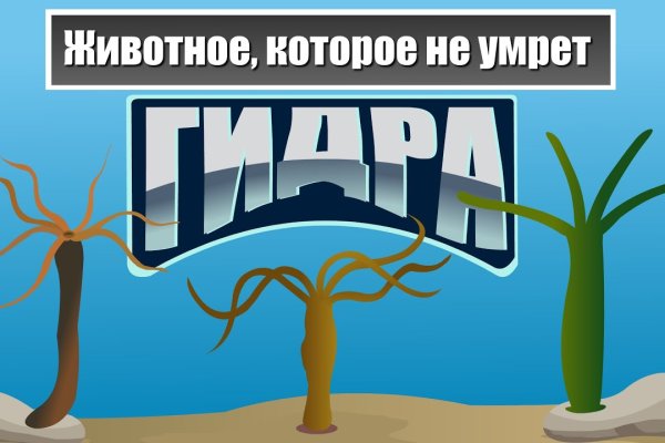 Аутентификатор кракен