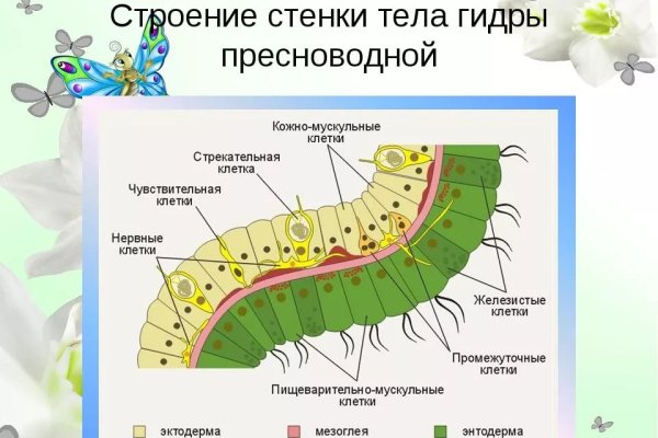Как зайти на кракен с компа