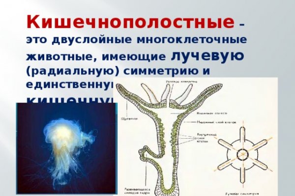 Кракен маркетплейс официальный сайт
