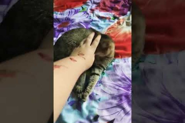 Кракен зеркало 2