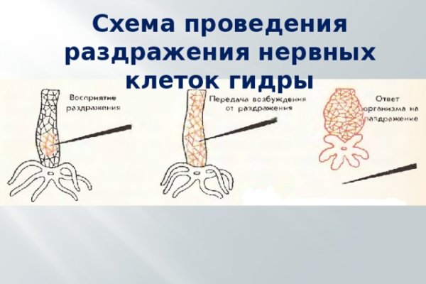 Kraken darknet market ссылка