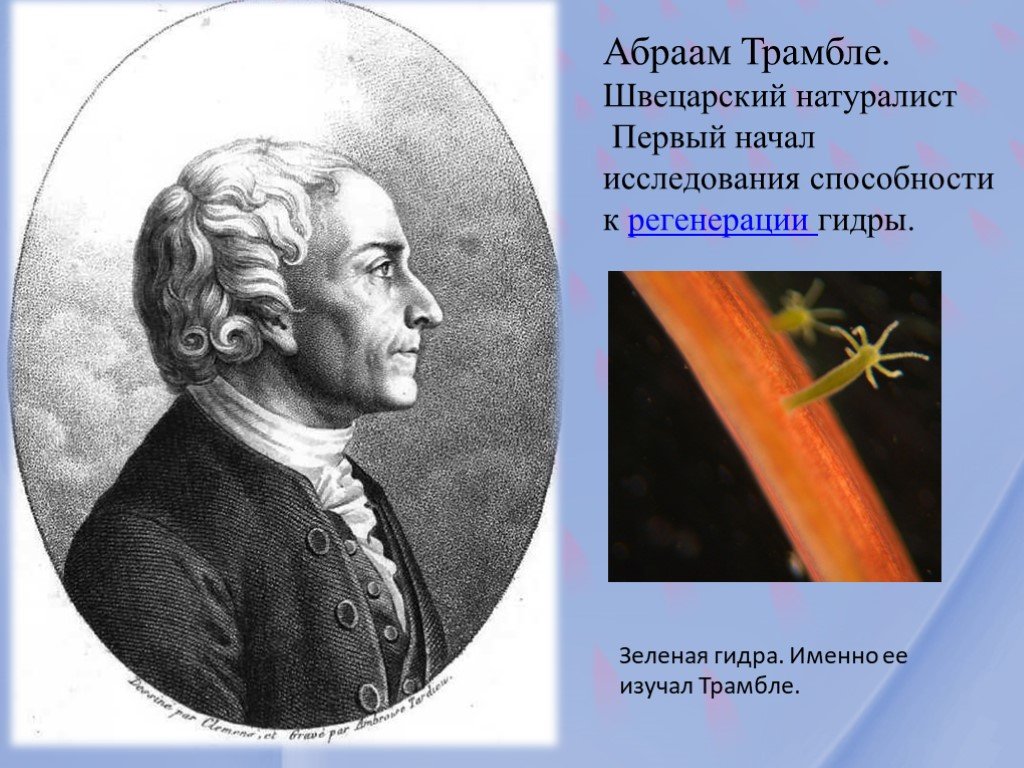 Кракен наркоман